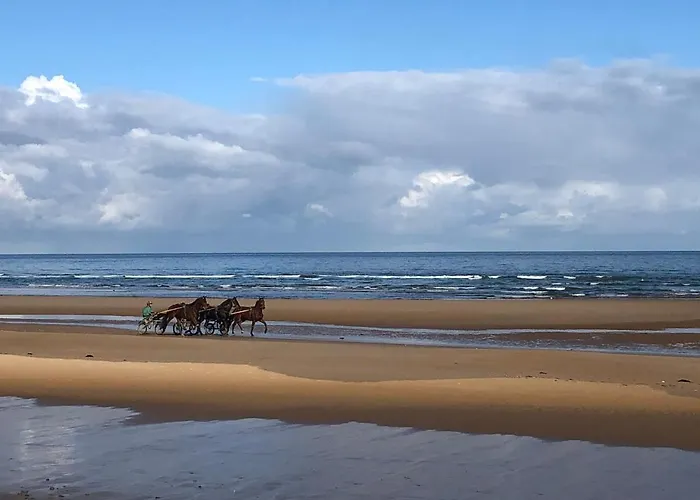 Maison Proche Omaha Beach Vue Imprenable Sur Haras